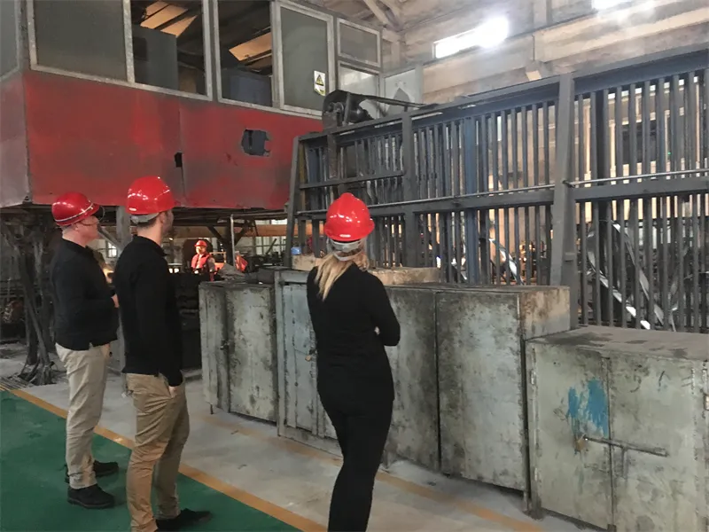 Customer Visit